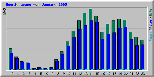 Hourly usage for January 2005